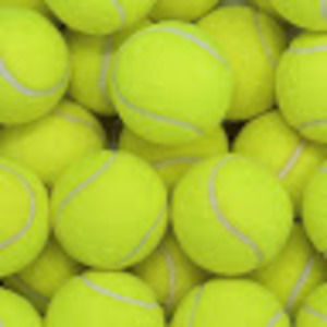 Meet your Posher, Elyse